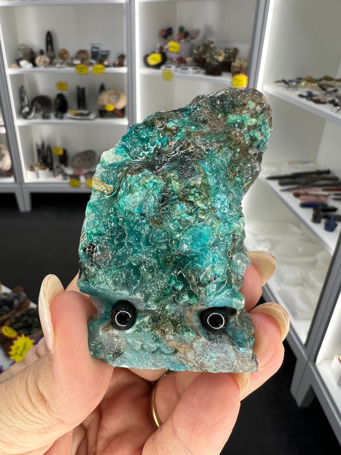 Chrysocolla Little Guy