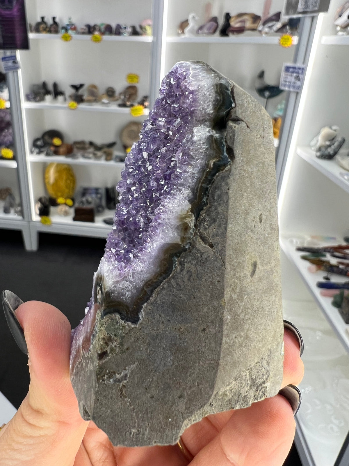 Amethyst Cluster Specimen