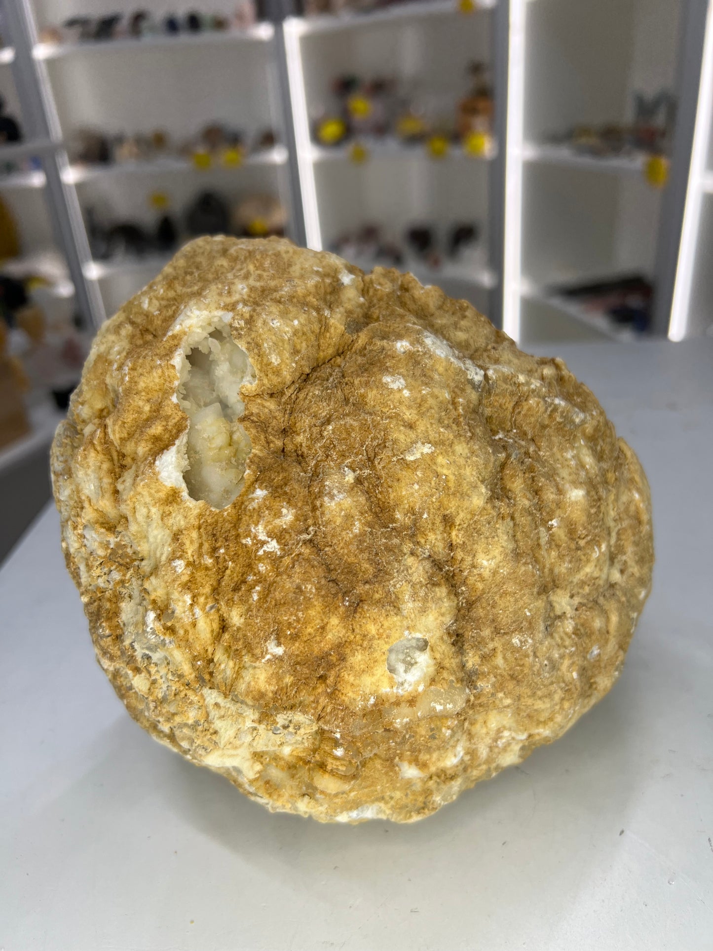 Quartz Geode Specimen