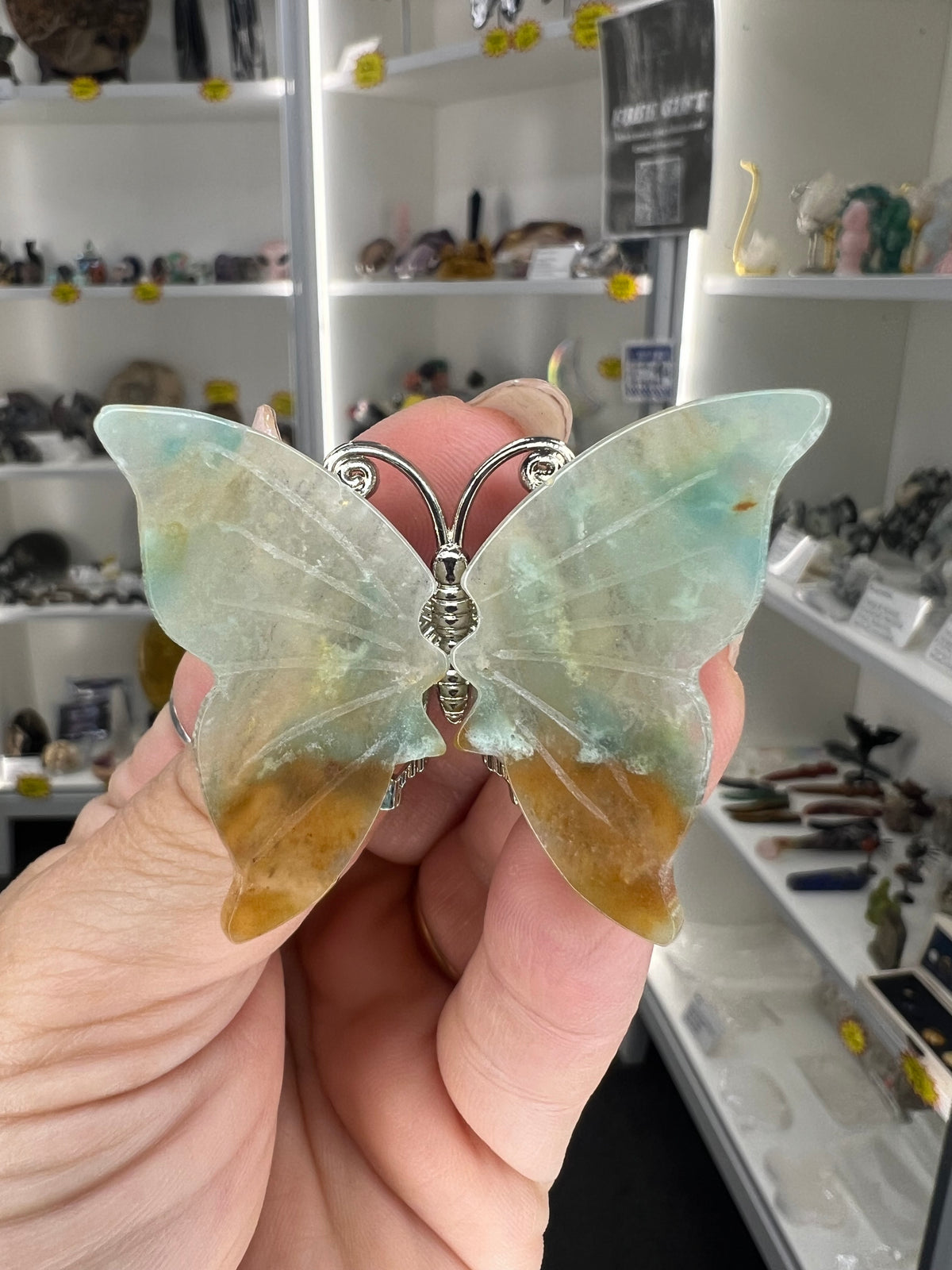 Caribbean Calcite Butterfly