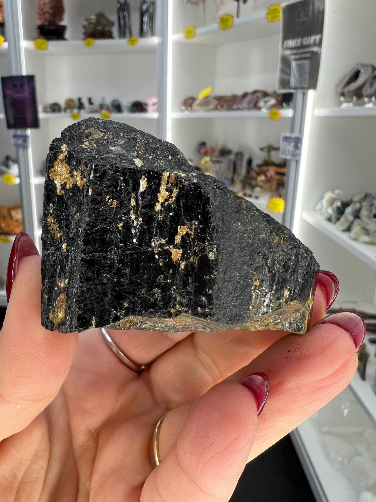 Black Tourmaline with Golden Mica Specimen
