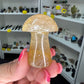 Golden Healer Mushroom