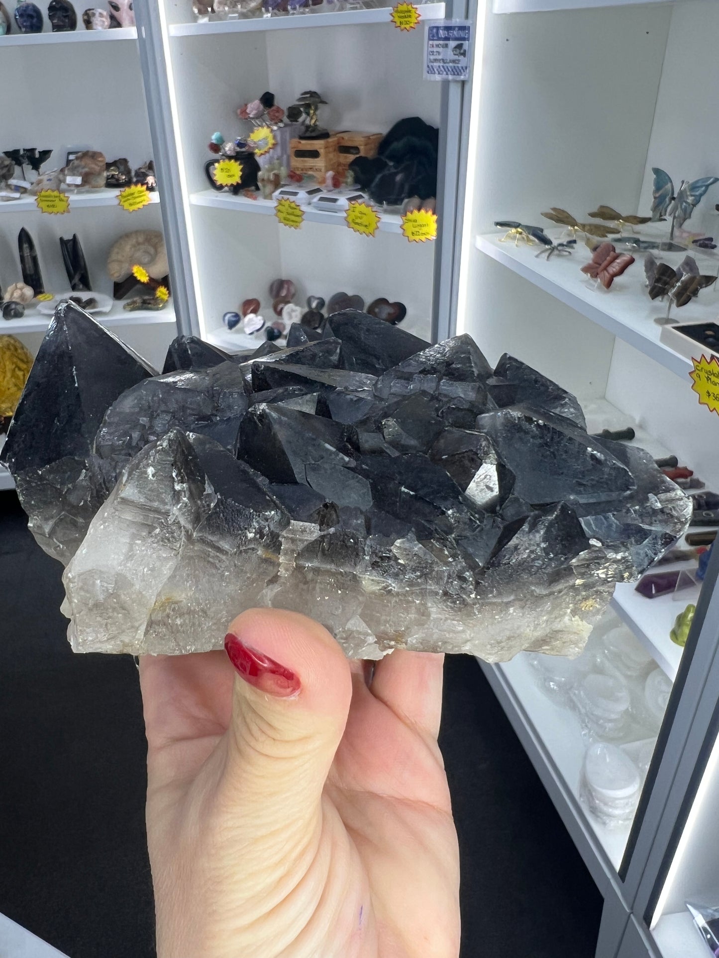 Black Quartz Cluster