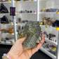 Pyrite Dragon Head