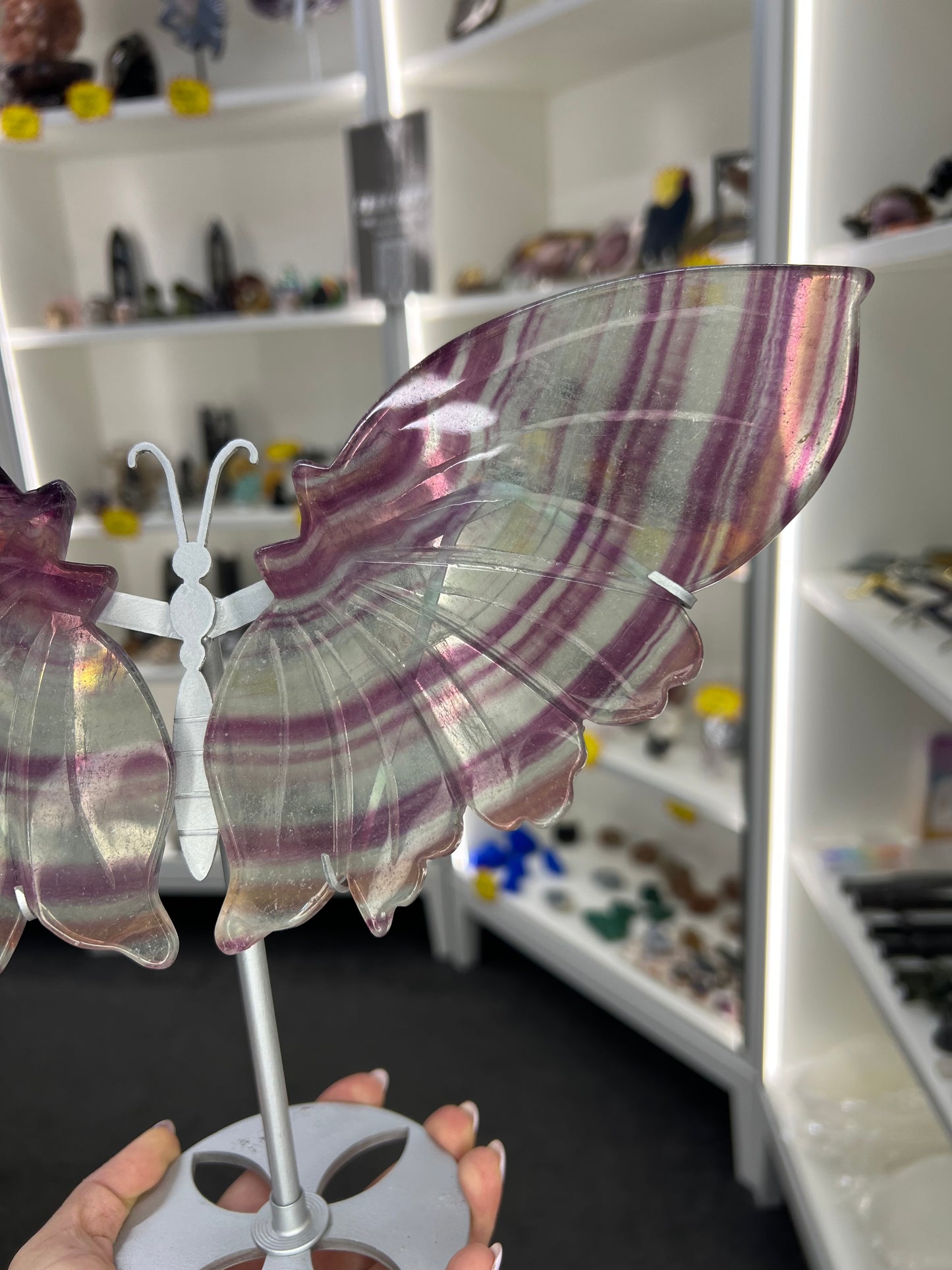 Fluorite Butterfly