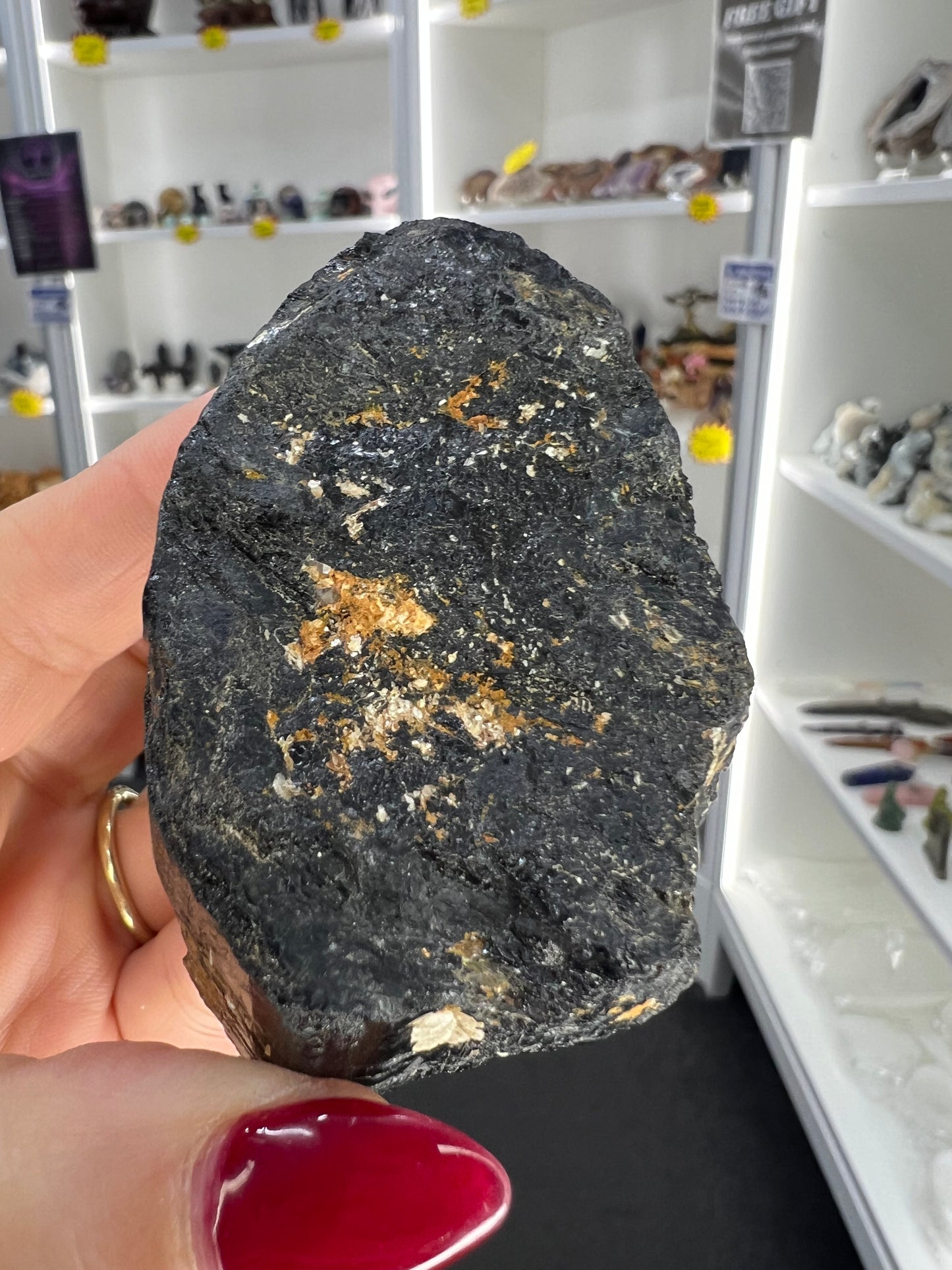 Black Tourmaline with Golden Mica Specimen