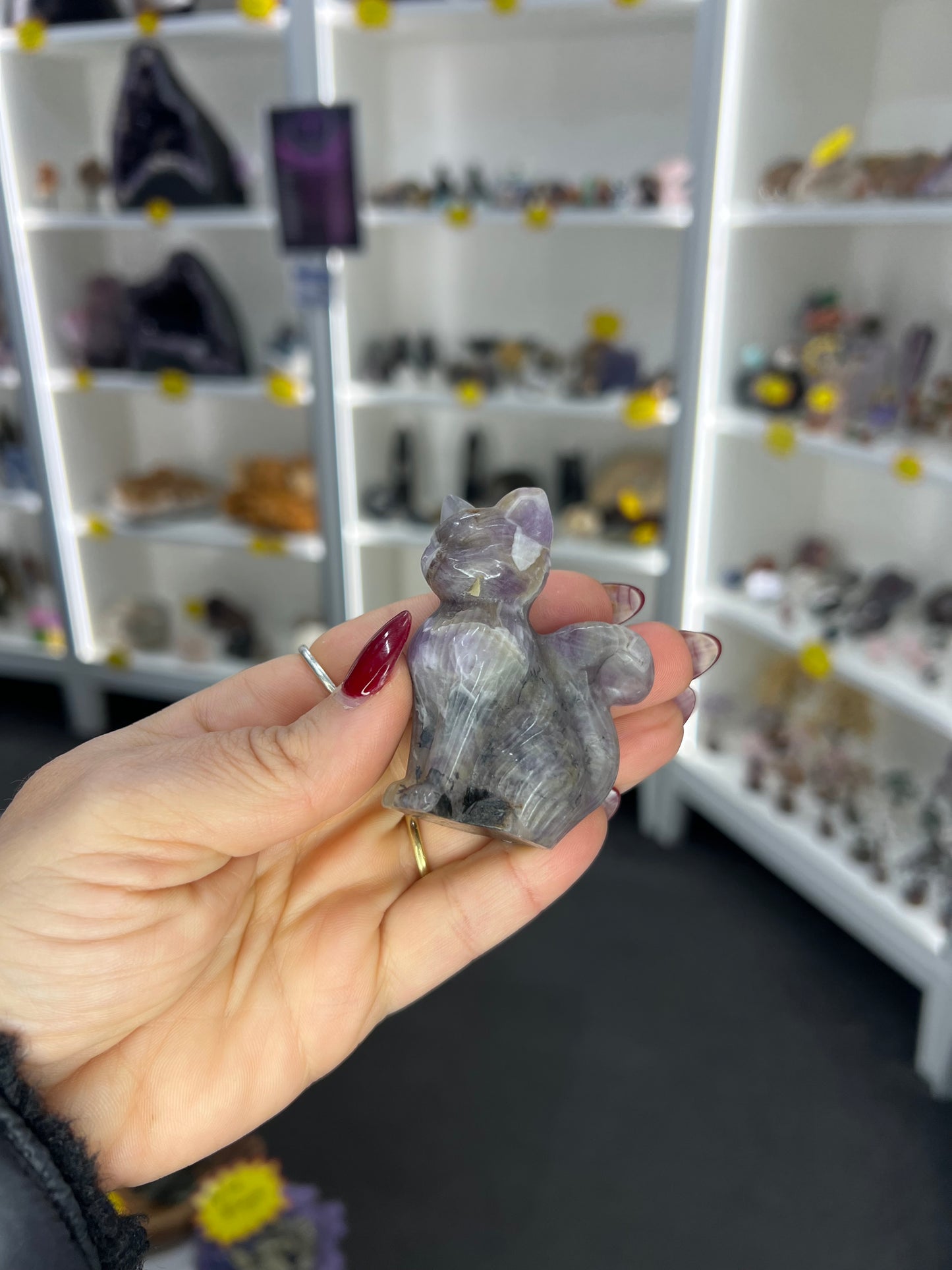 Chevron / Dream Amethyst Cat