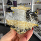 Picture Jasper Bat