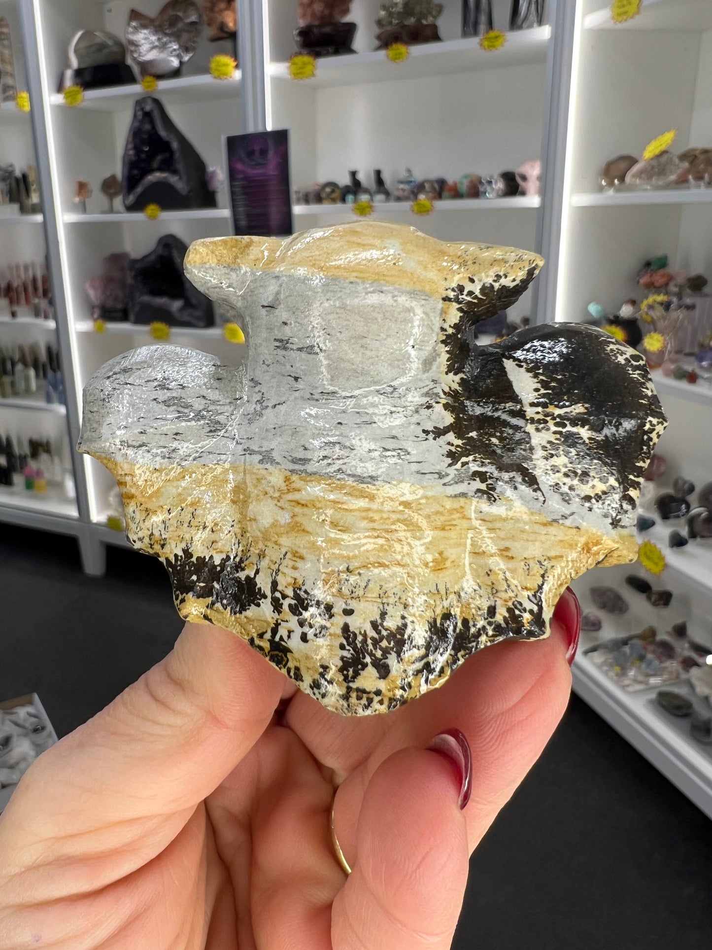 Picture Jasper Bat