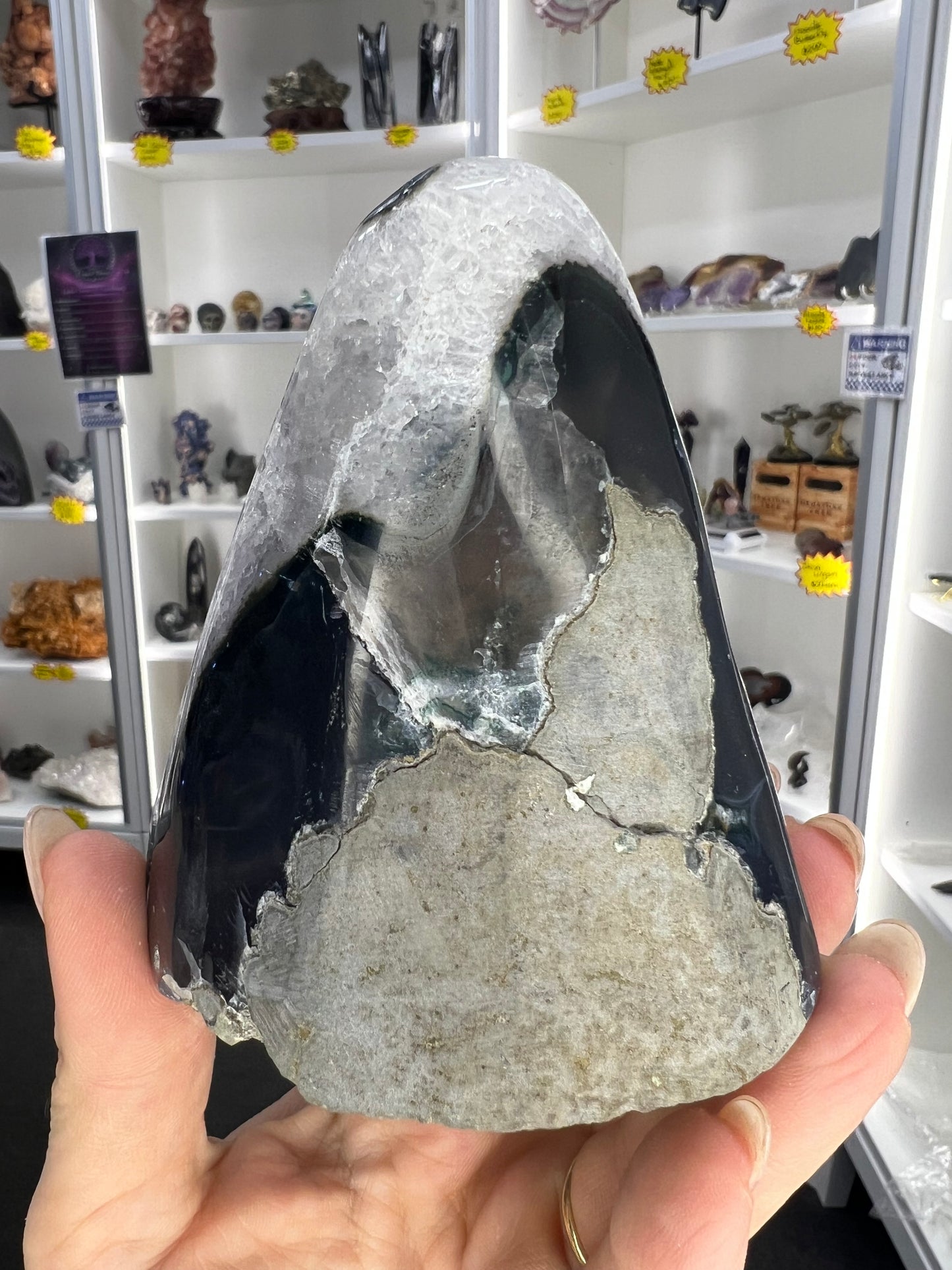 Amethyst Cluster Specimen