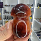 Carnelian Mushroom
