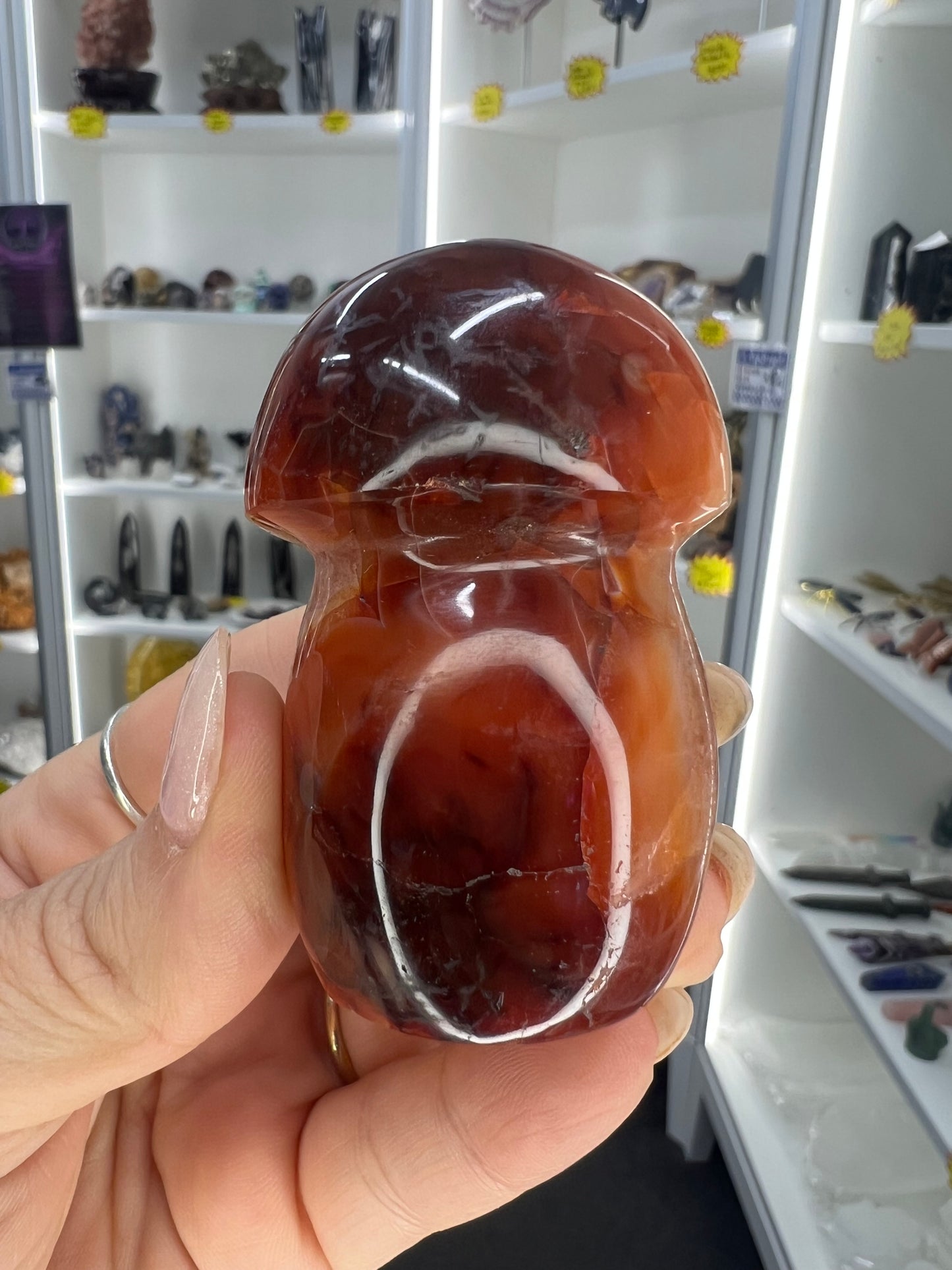 Carnelian Mushroom