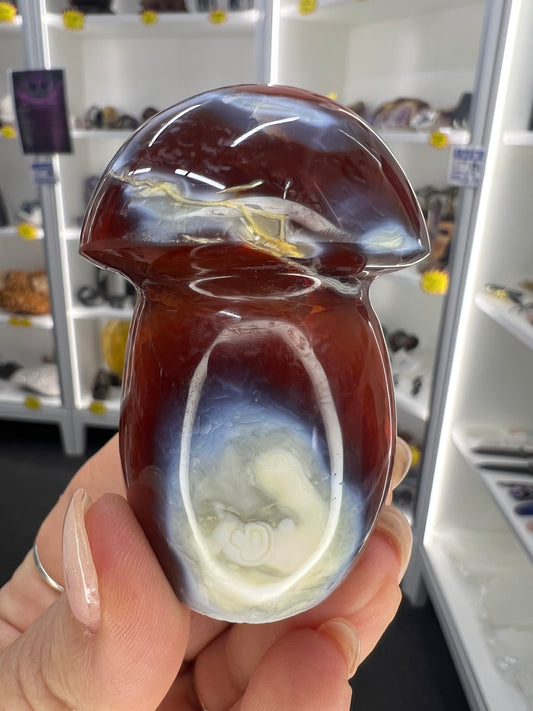 Carnelian Mushroom