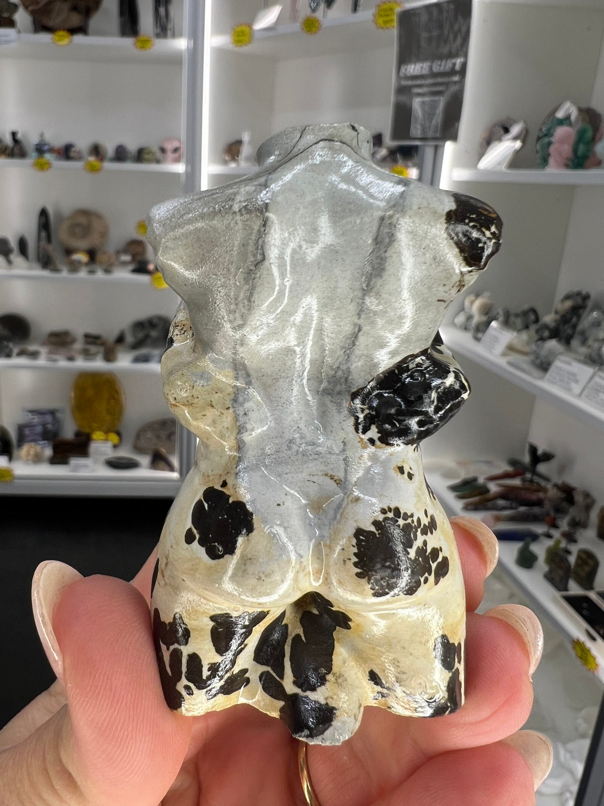 Picture Jasper Lady Torso