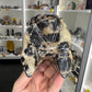 Picture Jasper Dinosaur Skull