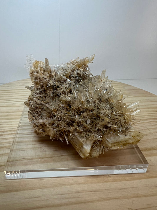 Gypsum / Selenite Specimen