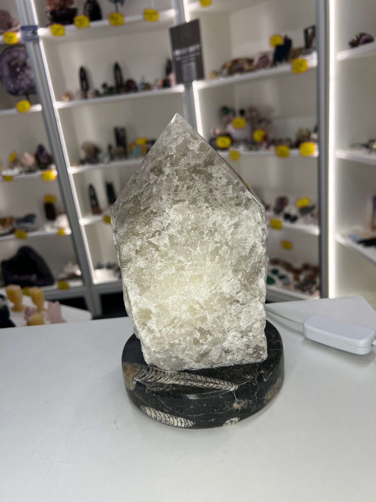 Smoky Quartz Point Lamp on Fossil Orthoceras Base