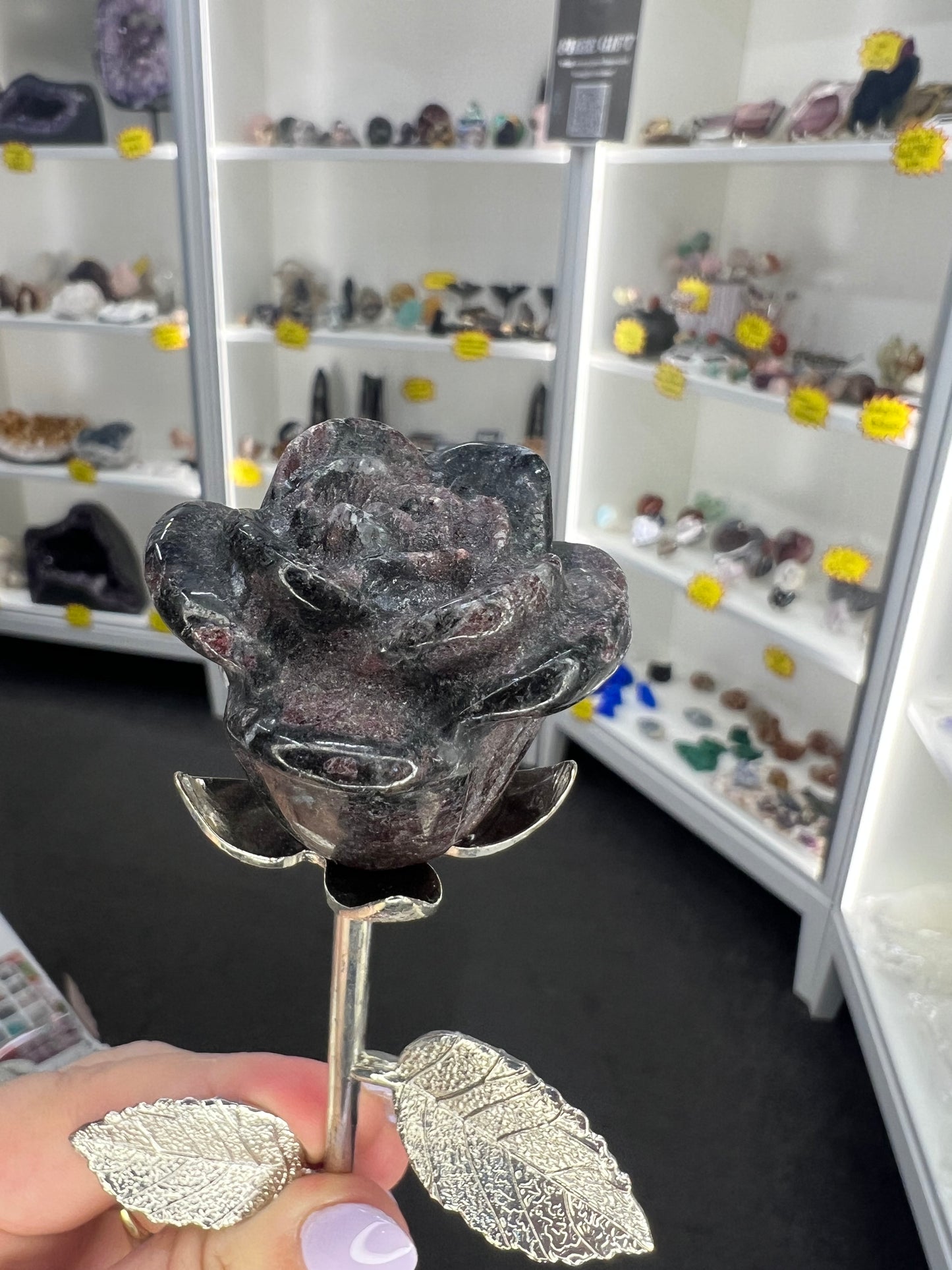 Astrophyllite Garnet Forever Rose