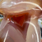 Carnelian Mushroom