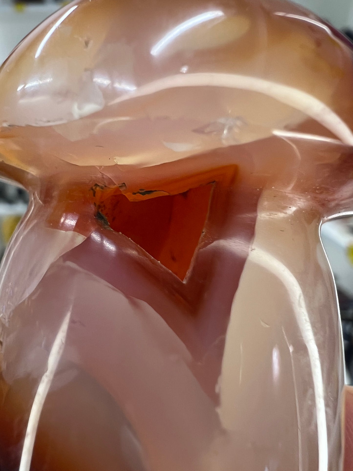 Carnelian Mushroom