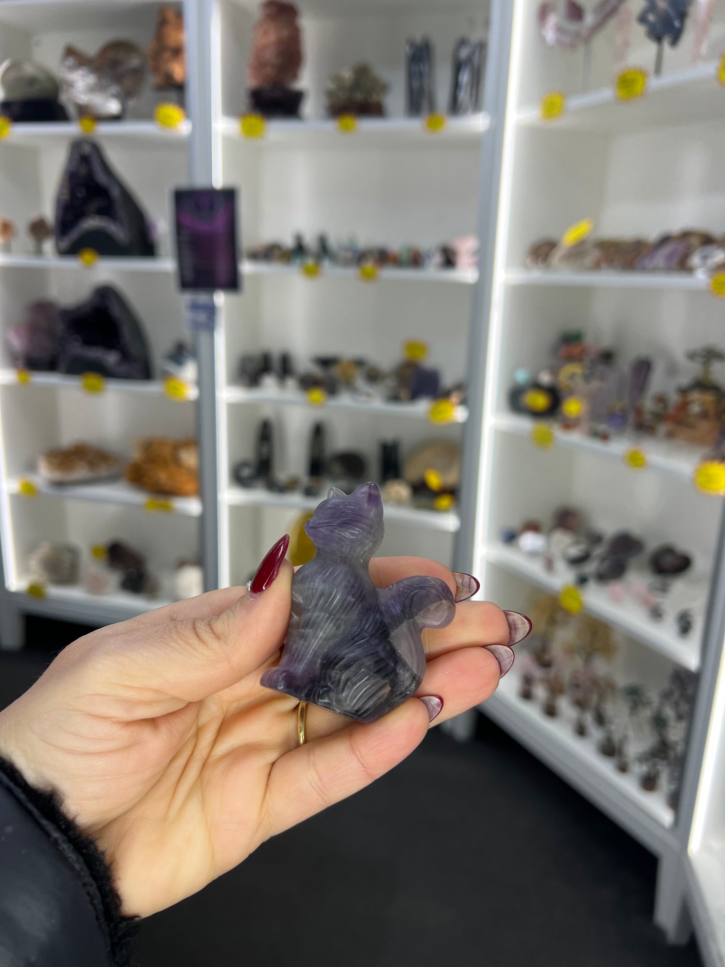 Chevron / Dream Amethyst Cat