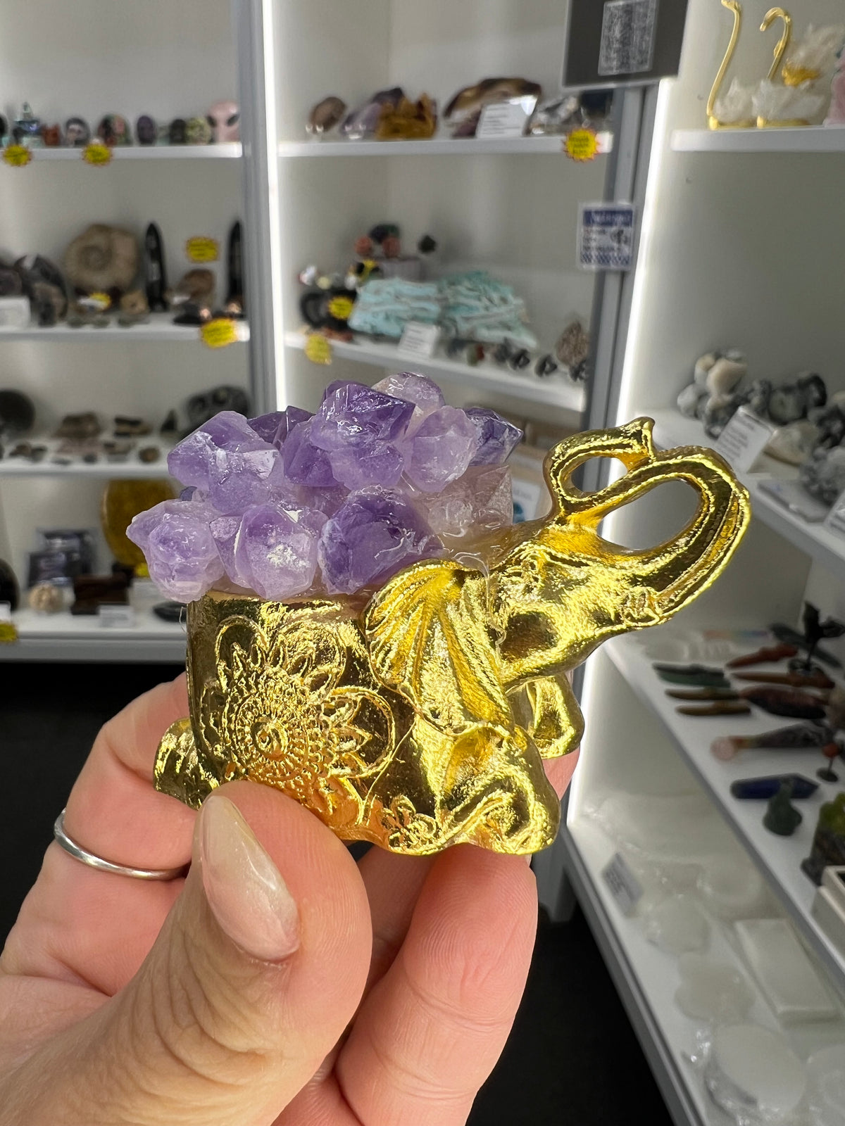Amethyst Cluster on Gold Elephant