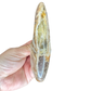 Ammonite Bowl