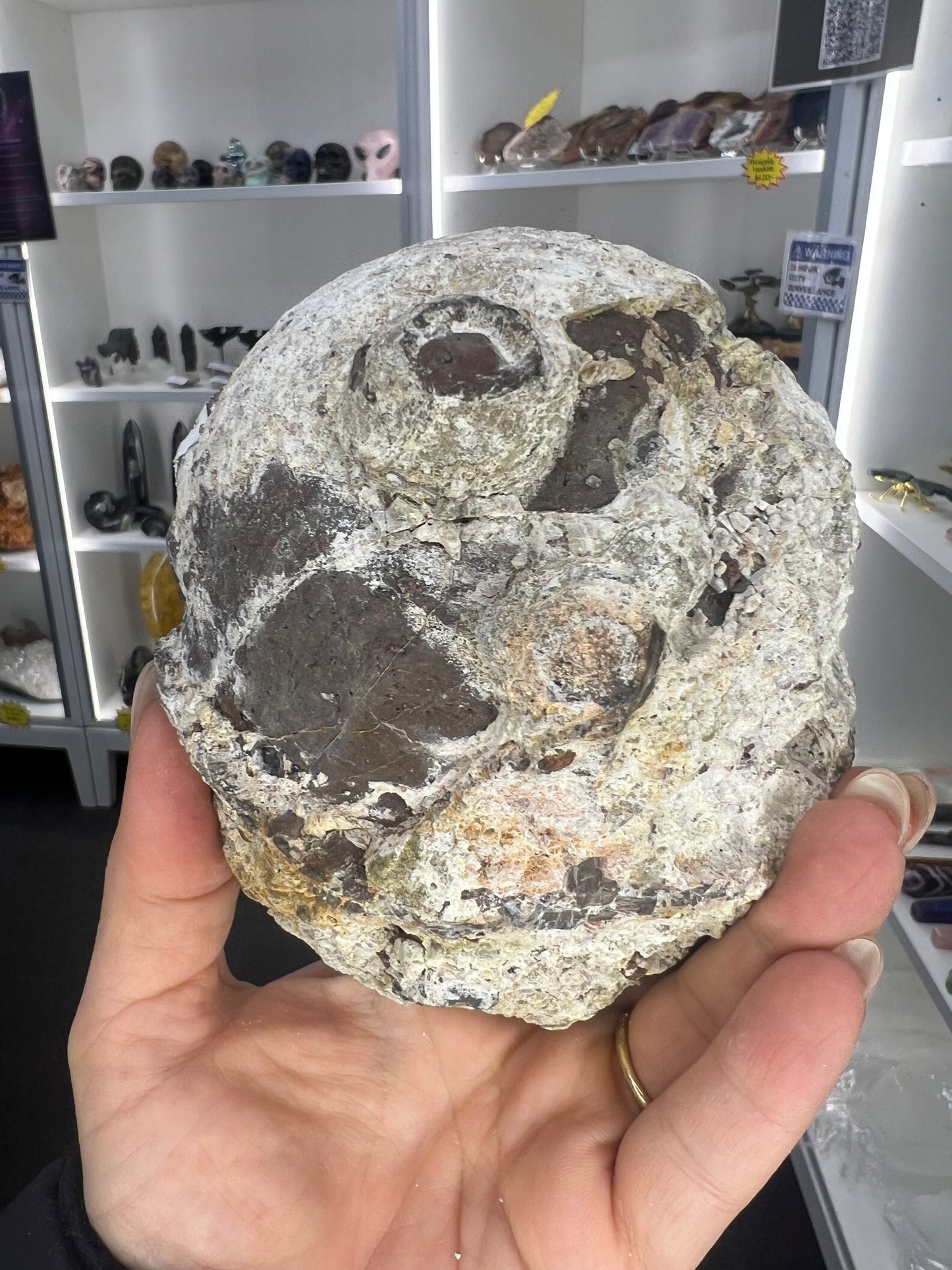 Dugway Agate