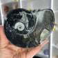 Goniatite Plate