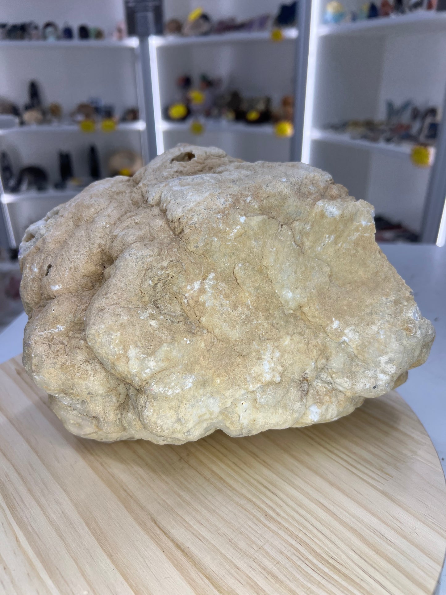 Quartz Geode Specimen