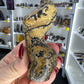 Picture Jasper Lady Body