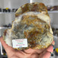Dinosaur Poo / Coprolite