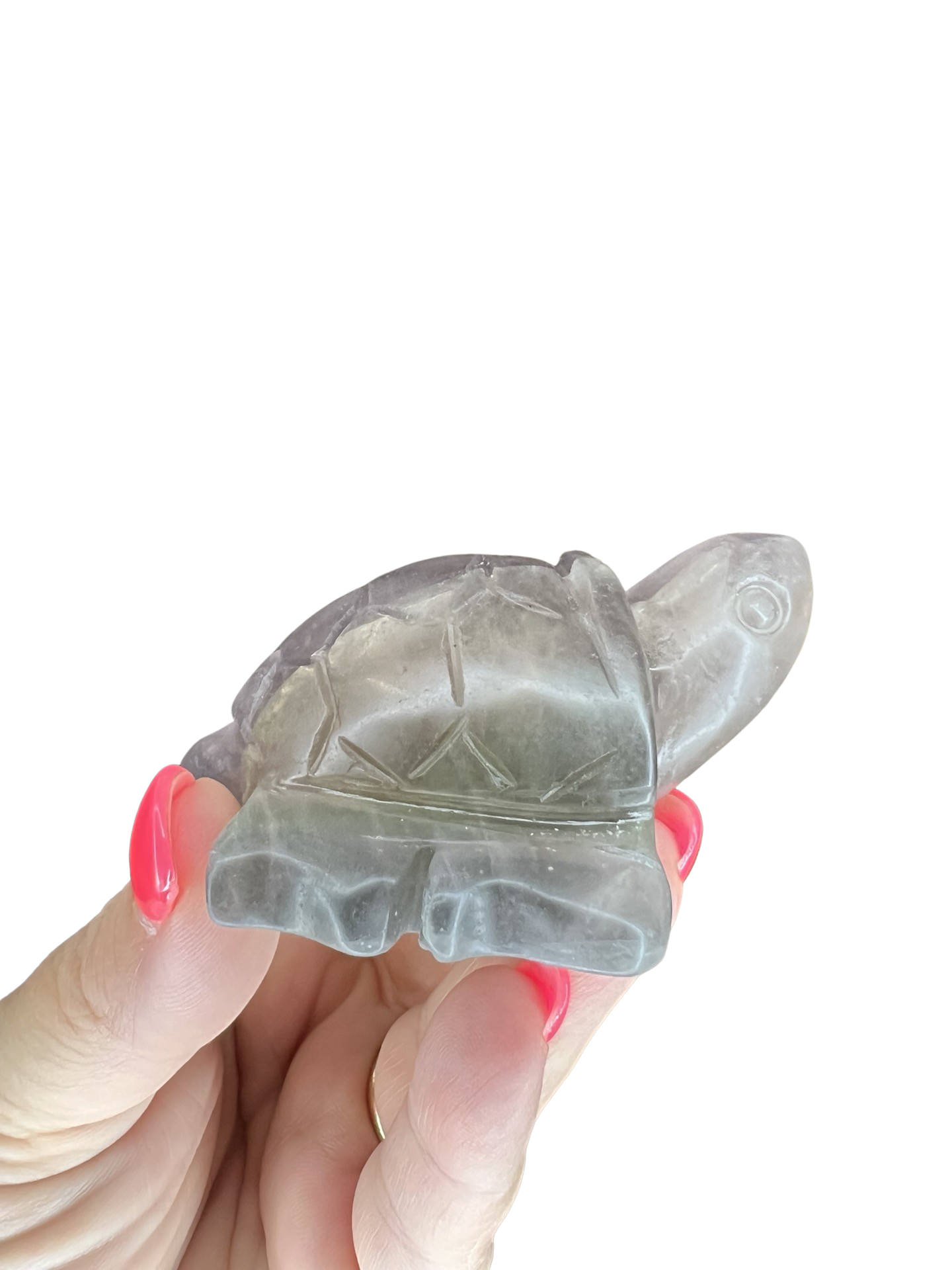 Fluorite Turtle