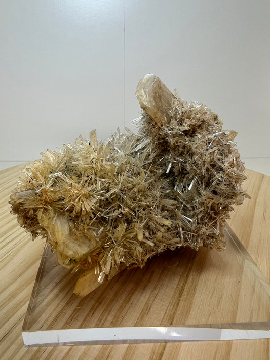 Gypsum / Selenite Specimen