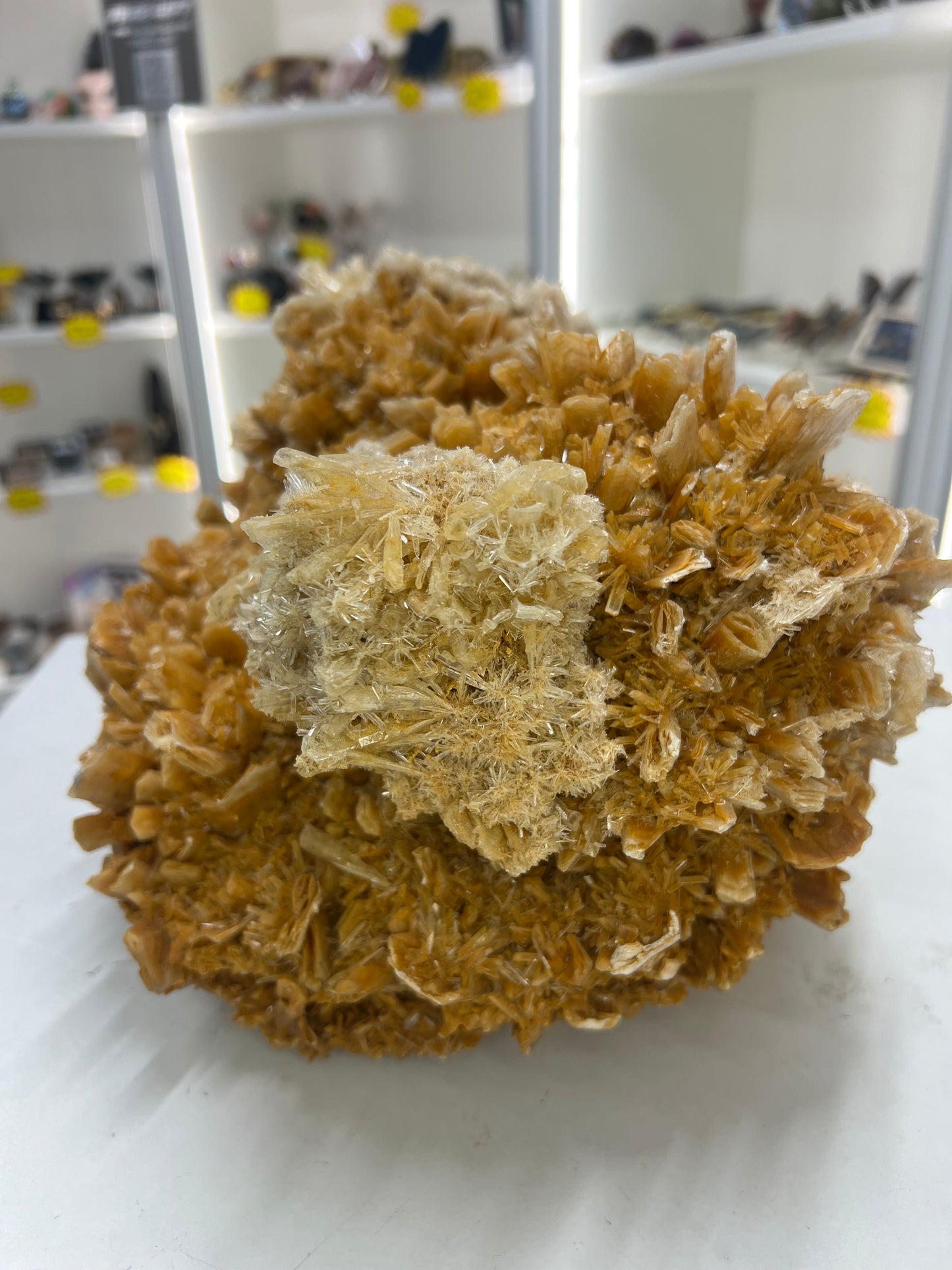 Huge Gypsum Specimen