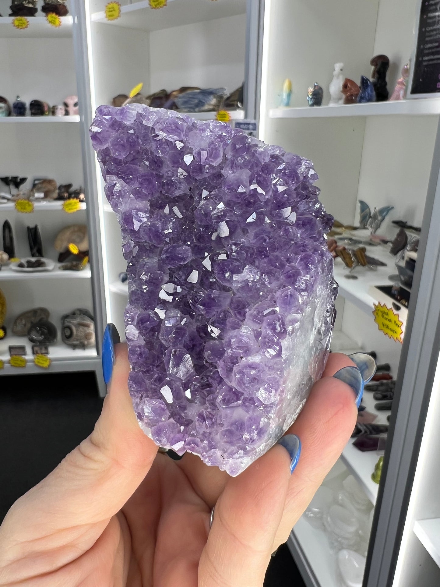 Amethyst Cluster Specimen