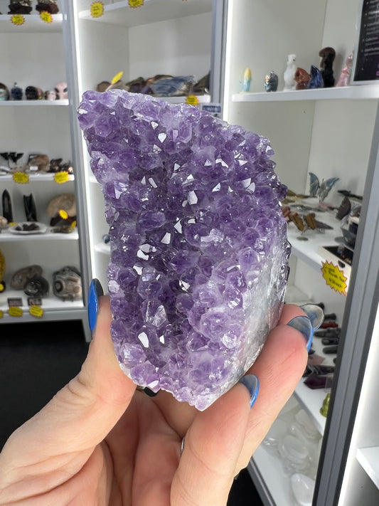 Amethyst Cluster Specimen