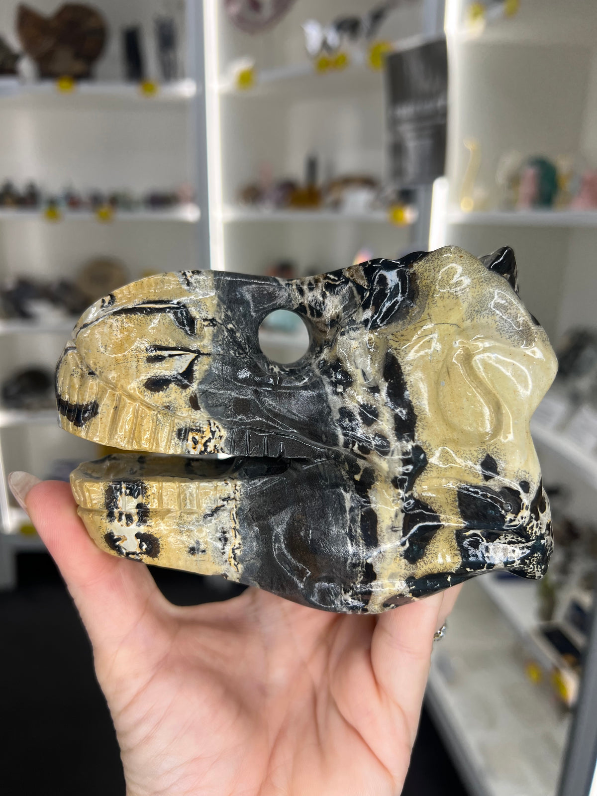 Picture Jasper Dinosaur Skull