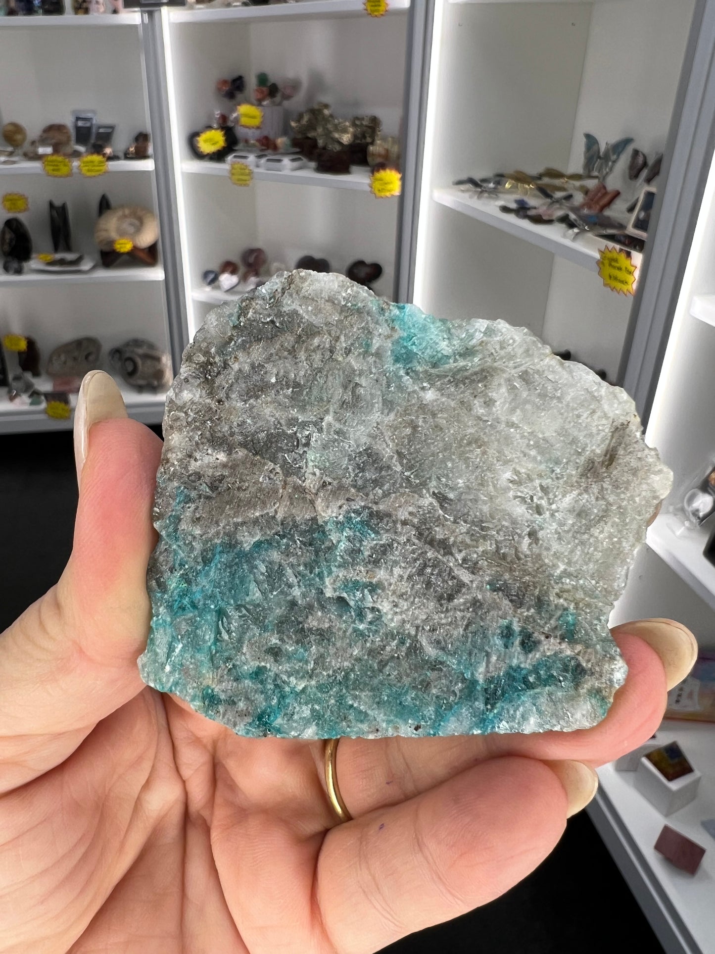 Chrysocolla Little Guy
