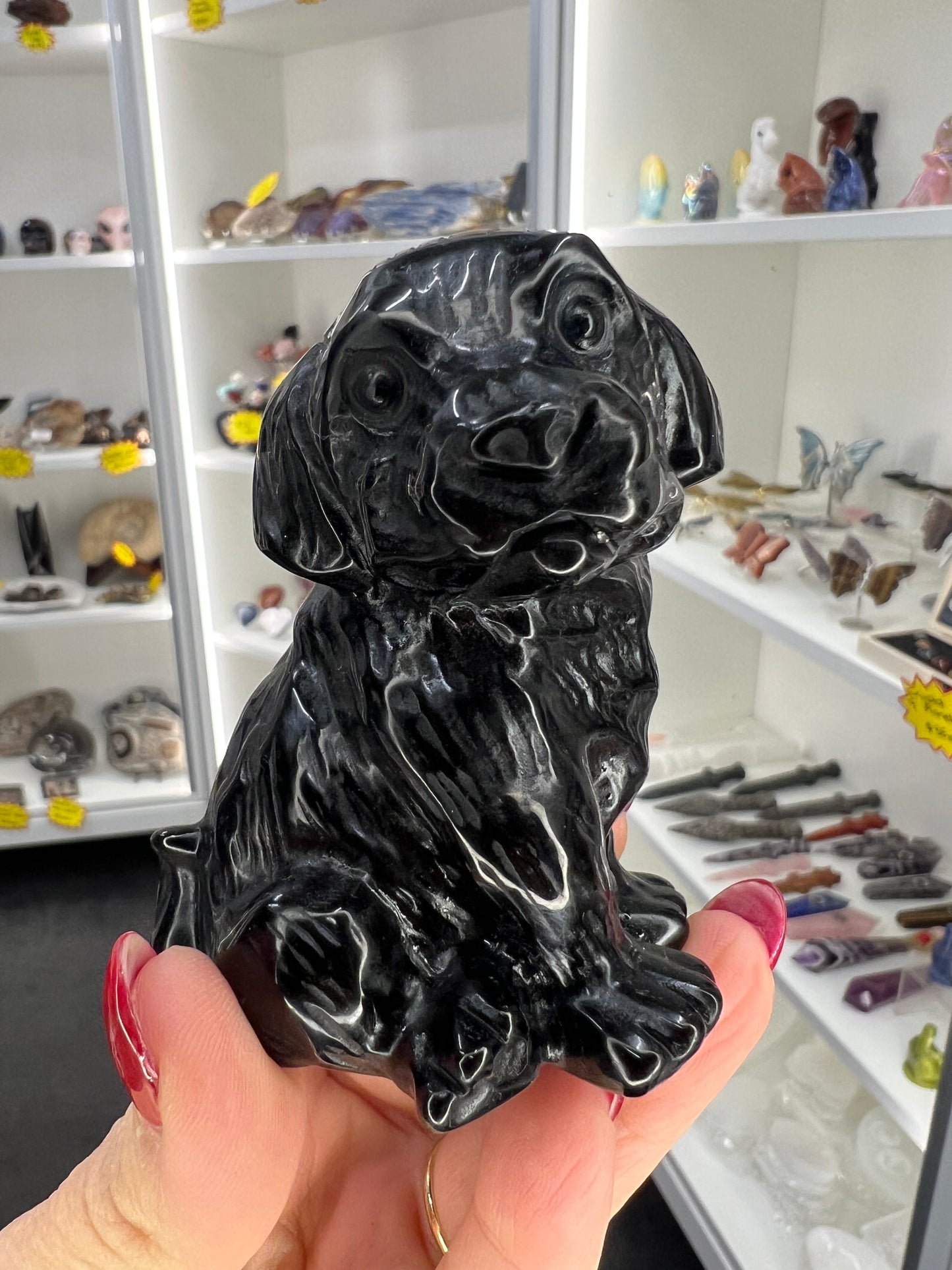 Black Obsidian Dog
