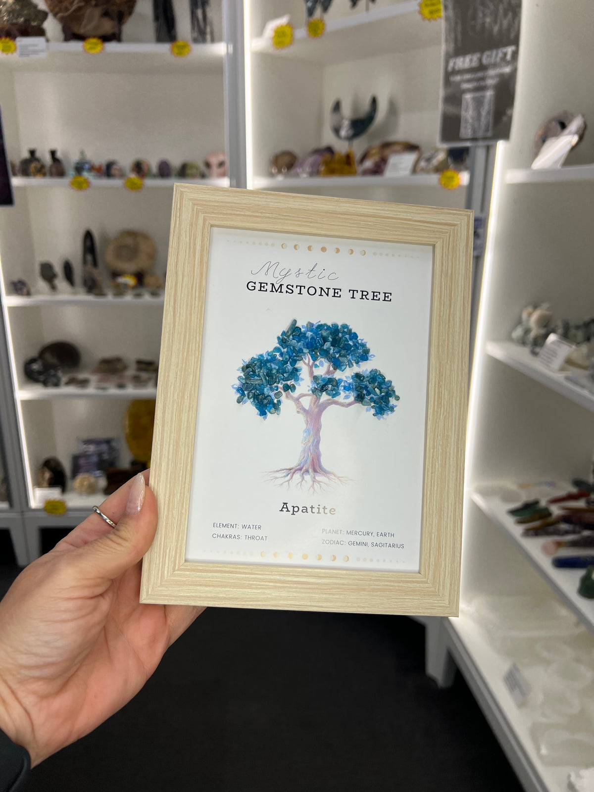 Apatite Chip Tree Frame