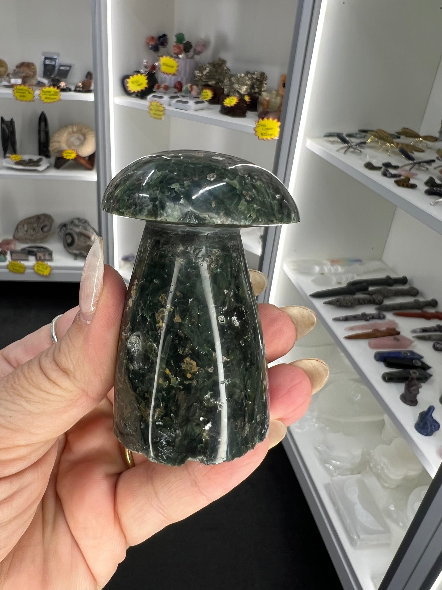 Ocean Jasper Mushroom
