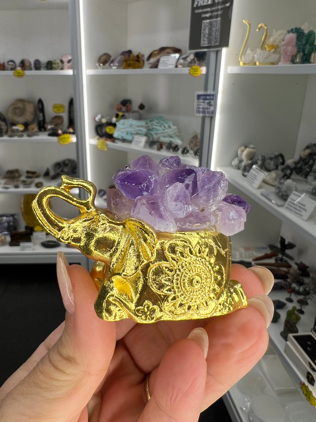 Amethyst Cluster on Gold Elephant