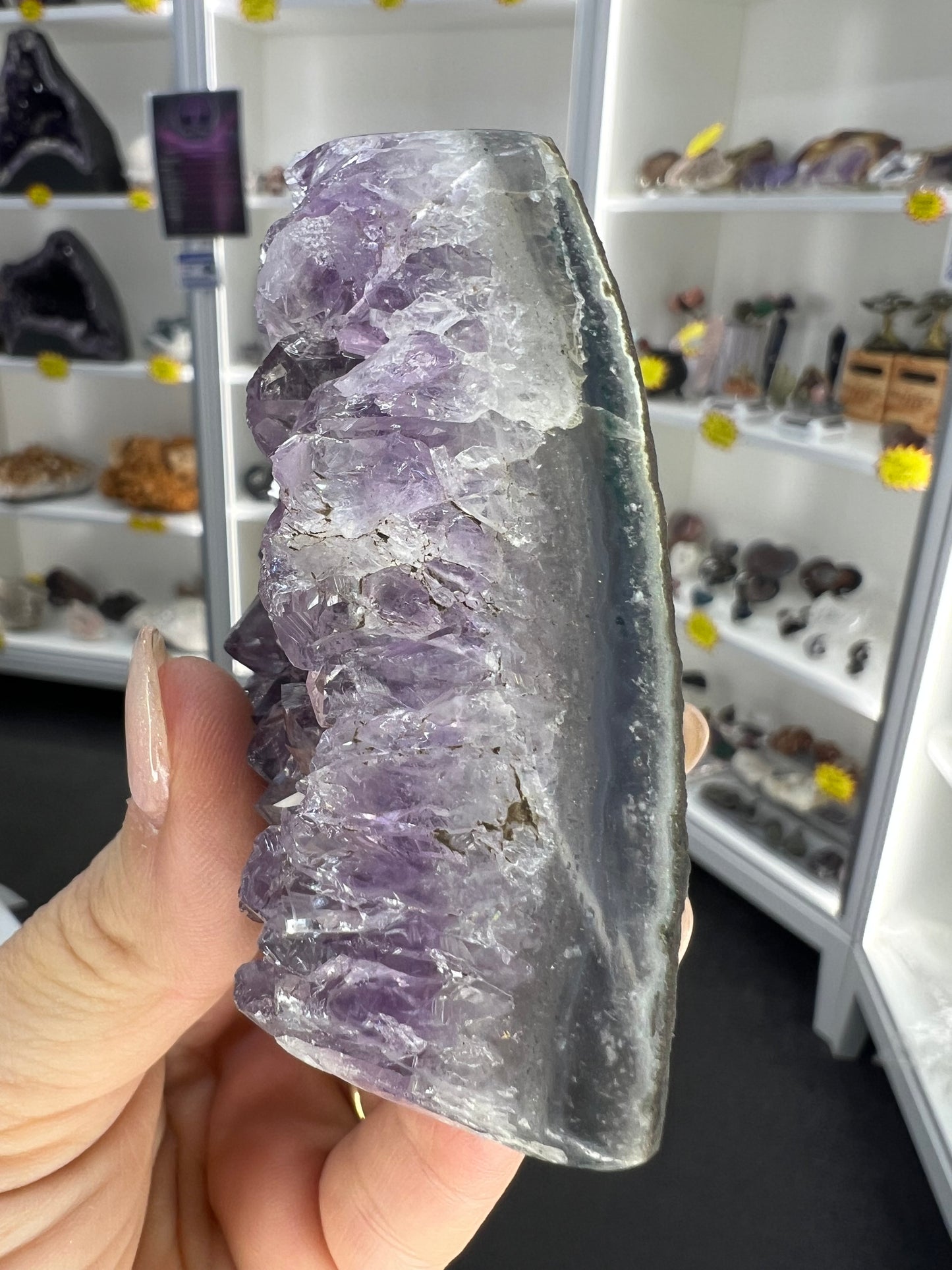 Amethyst Cluster Specimen