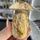 Ocean Jasper Mushroom