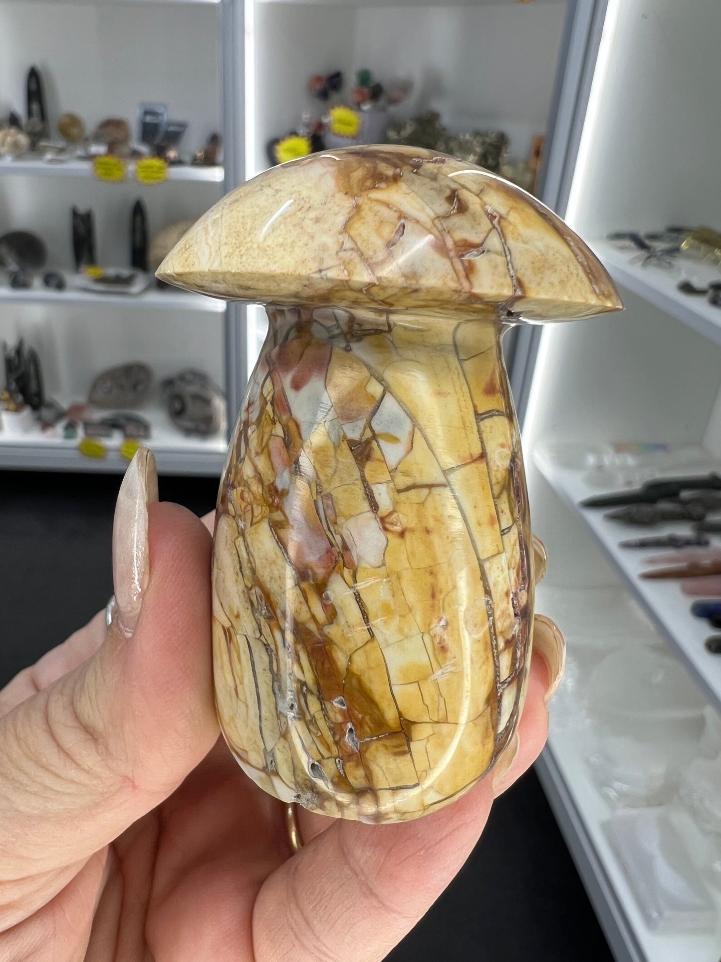 Ocean Jasper Mushroom