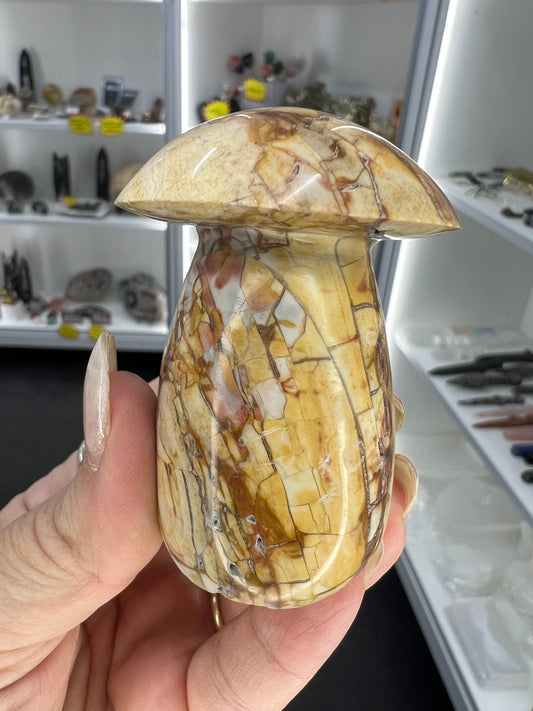 Ocean Jasper Mushroom