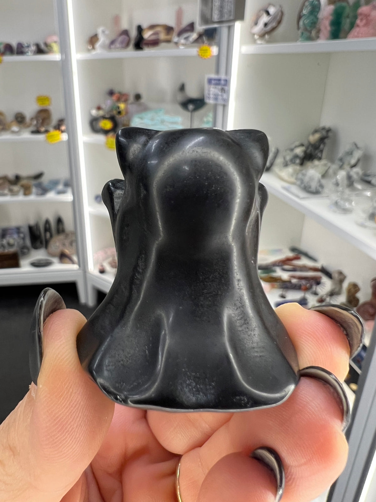 Black Obsidian Ghost Cat