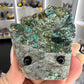 Chrysocolla Little Guy