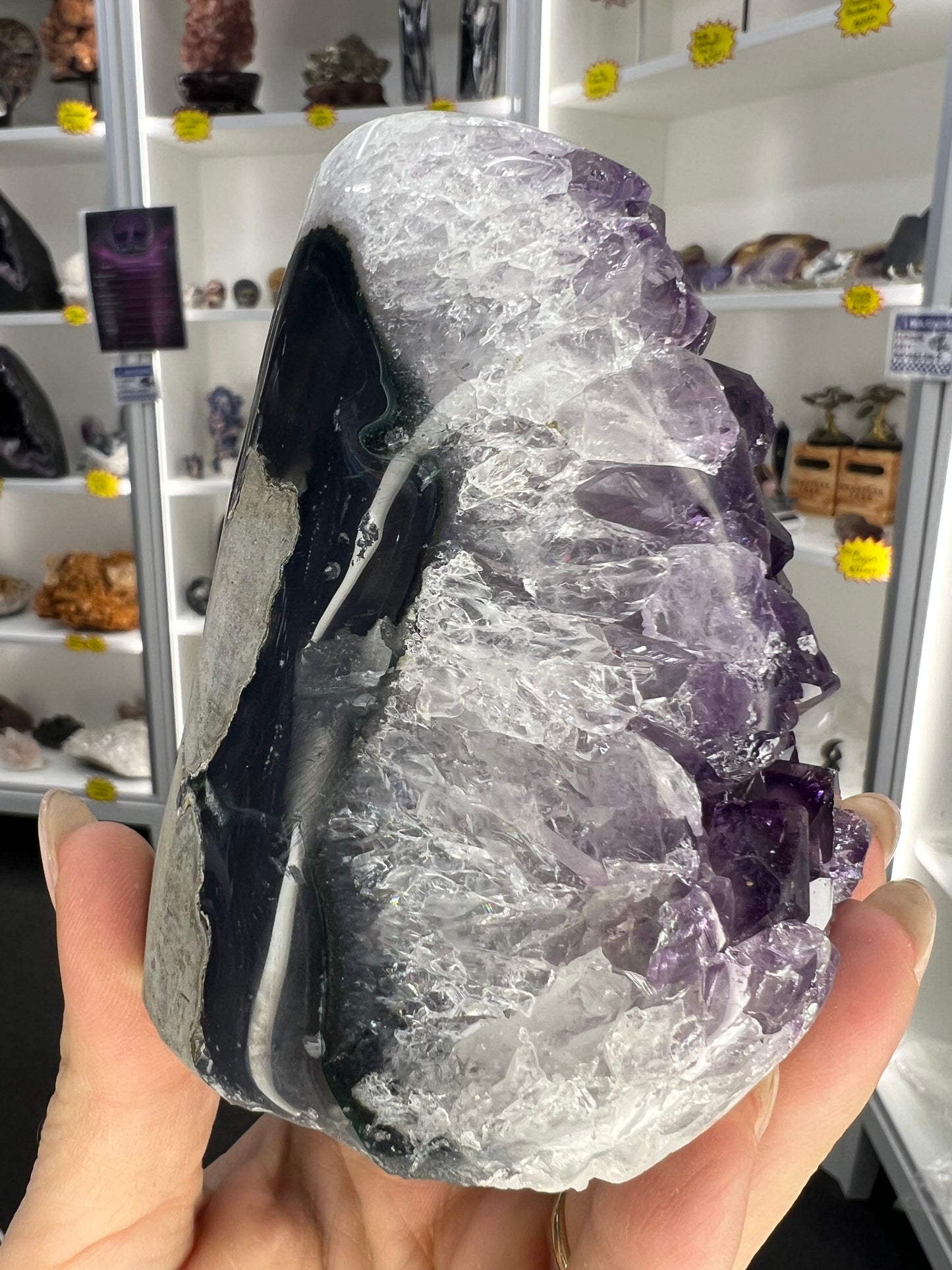 Amethyst Cluster Specimen